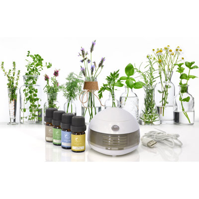 Steeves Aromatherapy Oil Diffuser Set