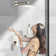 Shower System With Push Button Diverter
