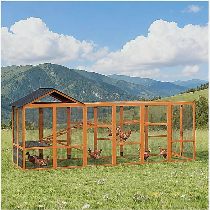 Poulailler en bois pour 6 à 10 poules