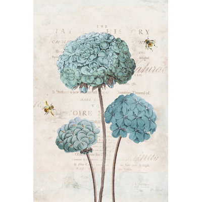 «Geranium Study I» par Katie pertiet, reproduction d'art sur toile tendue