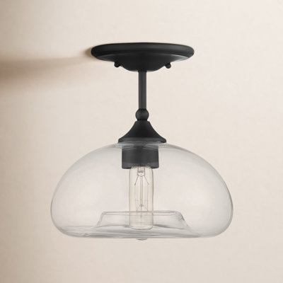 Lani 1-Light Ceiling Light in Matte Black
