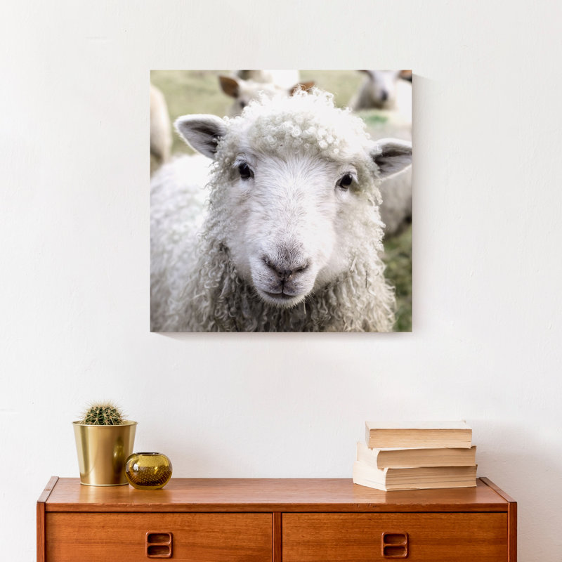Curious Sheep sur toile, H 12 po x l 12 po x P 1,25 po
