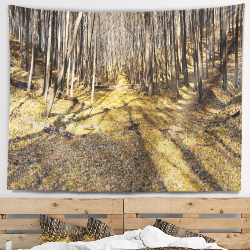 Paysage majestueux, forêt d'automne, tapisserie panoramique, H 78 po x l 92 po