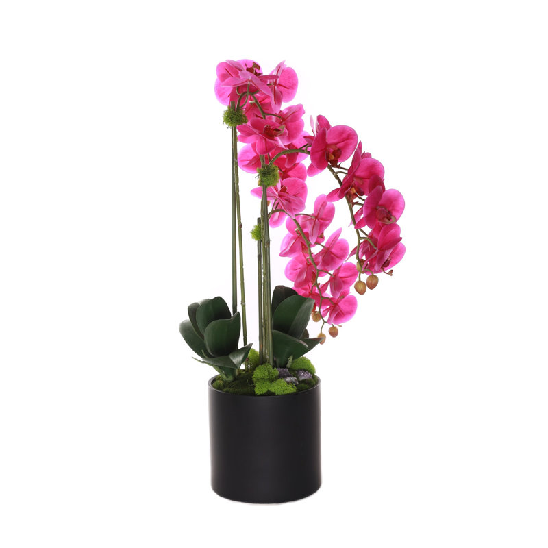 Orchid Faux Floral Arrangement in Pot