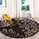 Chanhassen Shag Performance Floral Rug