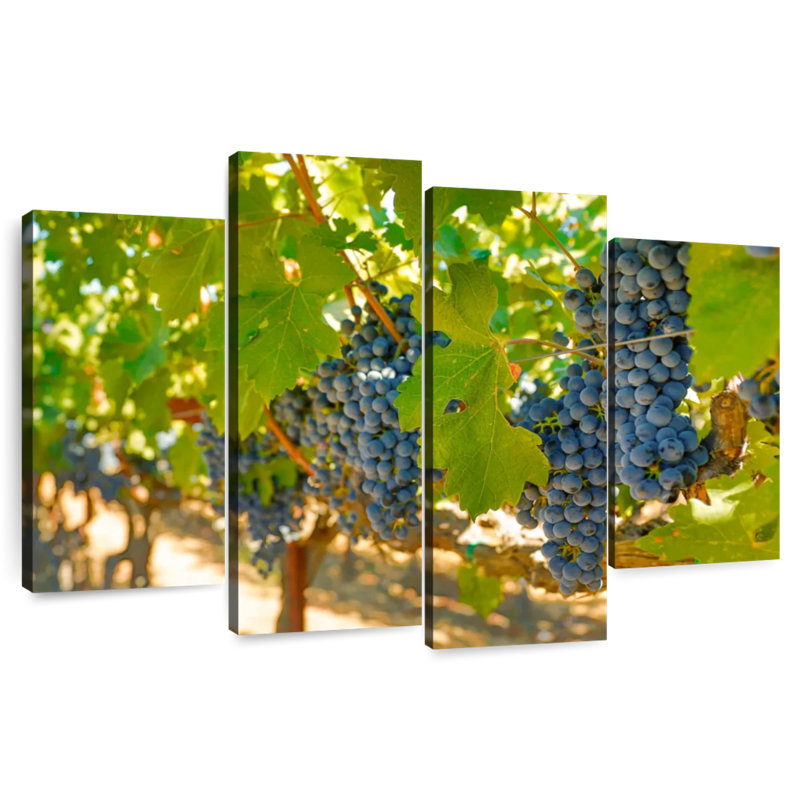 Yarlin Napa Valley Grapes, 32"H x 52"W