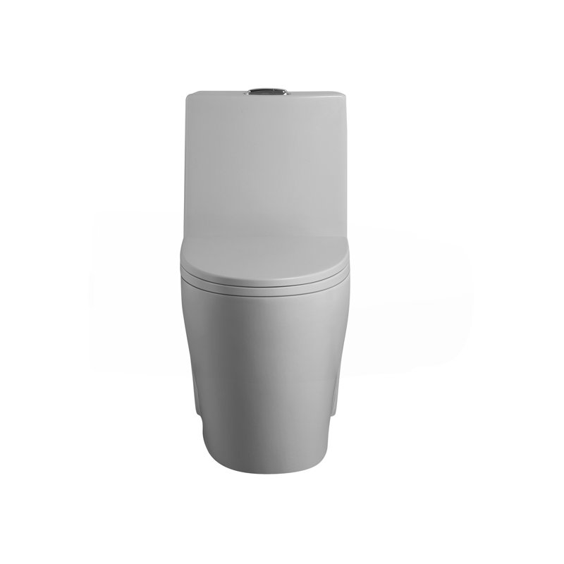 1.1/1.6 GPF Dual Flush One-Piece Toilet, Light Gray