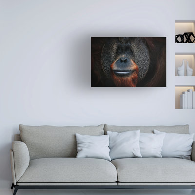 Art sur toile Antje Wenner Braun