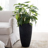 Pot Planter