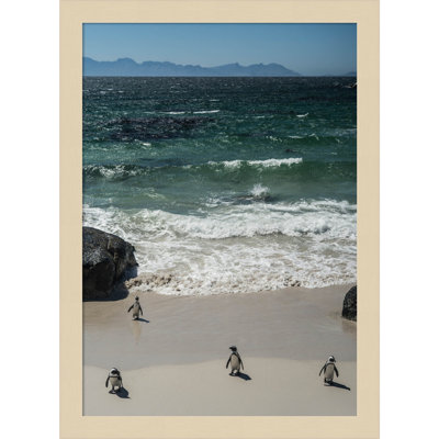 Coming In to the Beach by Shot by Clint Wood Framed Wall Art Print