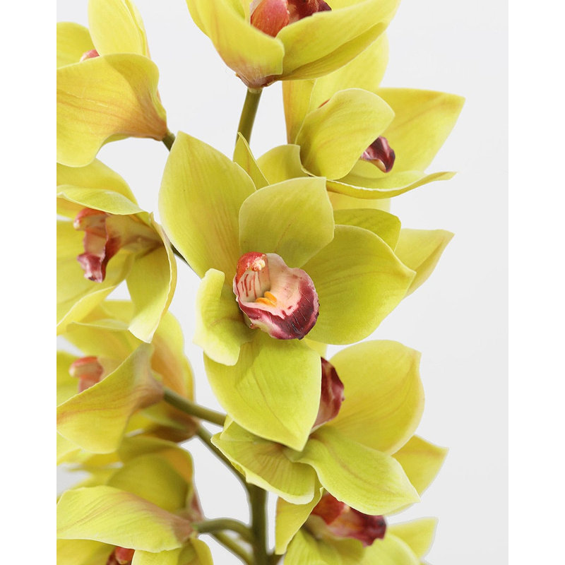 Vert cymbidium orchidée 41,5 po