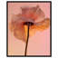 Amber Radiance IV Print by Oliver Gal-883992974-883992689