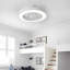 Ceiling Fan with LED Lights