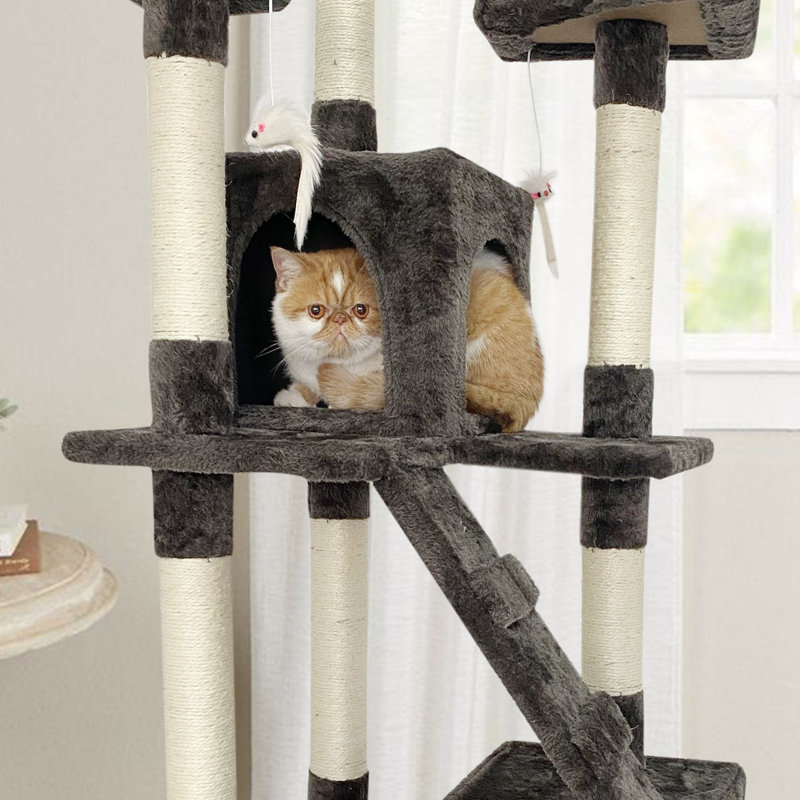 Arbre à chat à plusieurs niveaux 65 po avec 2 condos et 3 perchoirs
