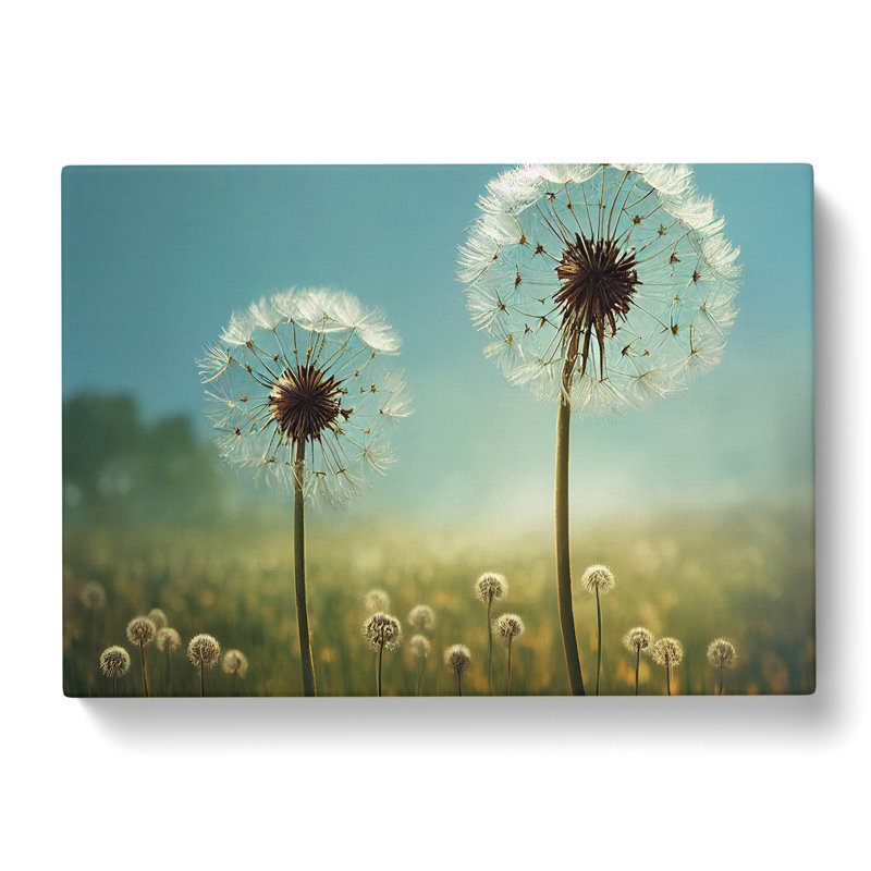 Dandelion Field Vol.5 - Wrapped Canvas, 35cm H x 50cm W x 3cm D