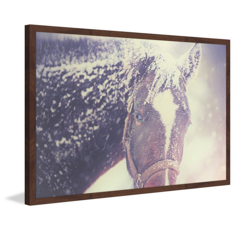 « curieux cheval », reproduction d’art encadrée, H 20 po x l 30 po x P 1,5 po