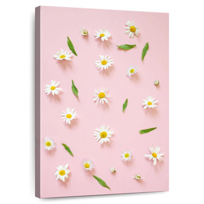Harnek Daisy Camomille sur fond rose
