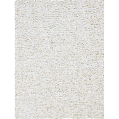 Indoor Rug