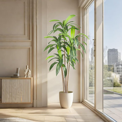 180cm Plant