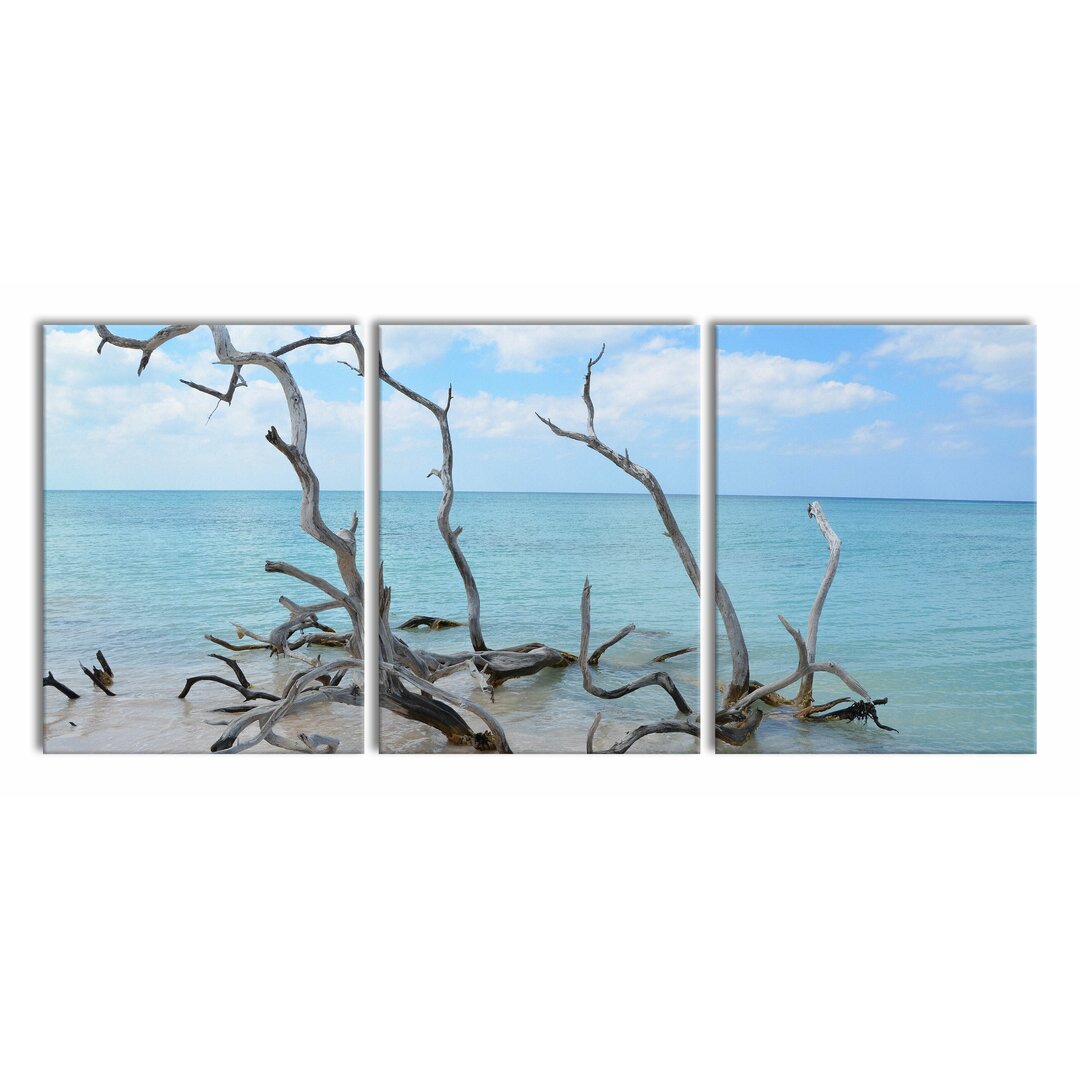 3-tlg. Leinwandbilder-Set Beach with Driftwood in Cuba