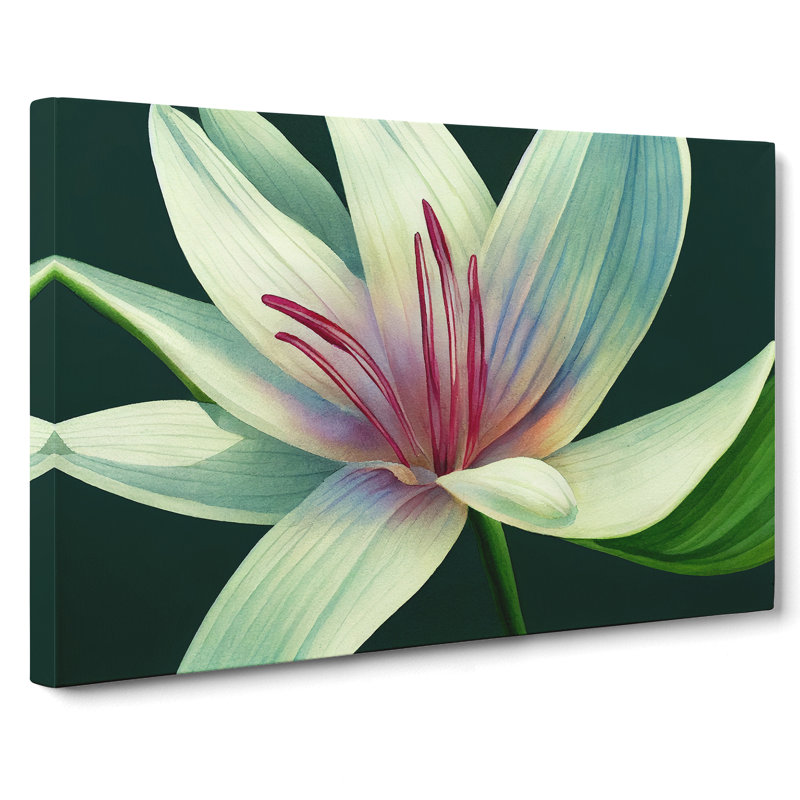 Dashing Lily Flower - Wrapped Canvas, 35cm H x 50cm W x 3cm D