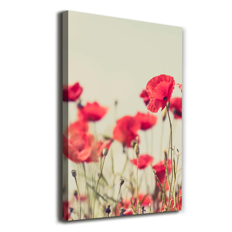 Field Poppies - Wrapped Canvas Print