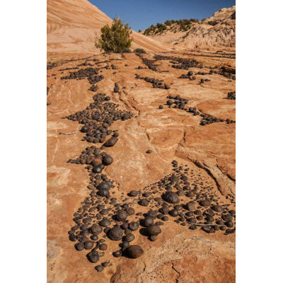 Illg, Cathy and Gordon Gallery Wrapped Canvas Art: UT, Grand Staircase Escalante NM Moki marbles