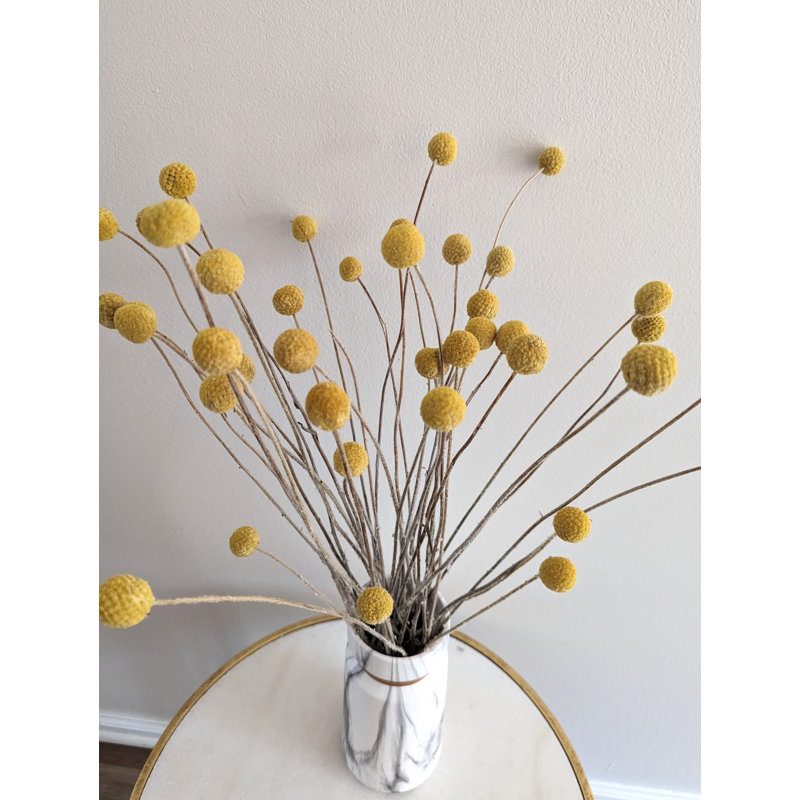 Preserved Billy Buttons Arrangement in Vase