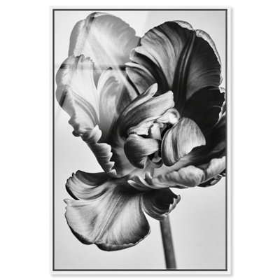 Graphite Flower Print by Oliver Gal