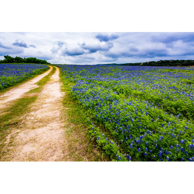 Field Of Texas Bluebonnet by Richard McMillin - Wrapped Canvas Print