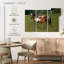 Bramalo Appaloosa, cheval et poulain-108099454
