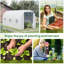 Ashora  Walk-In Polytunnel Greenhouse With Galvanised Steel Frame And UV-Protected Cover