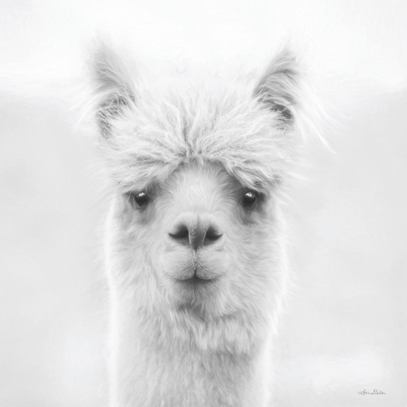 " Chip The Alpaca ", 20" H x 20" W  