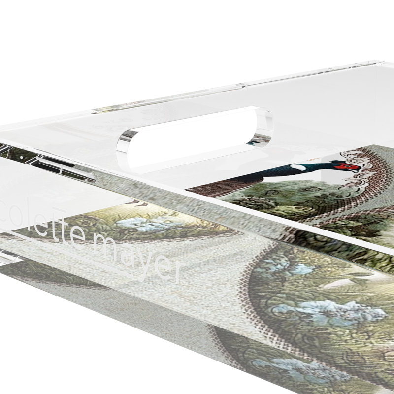 Acrylic Decorative Tray