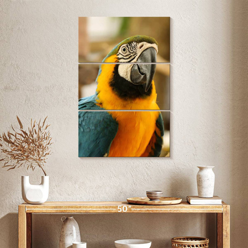 Brampt Exotic Macaw, 57" H x 36" W