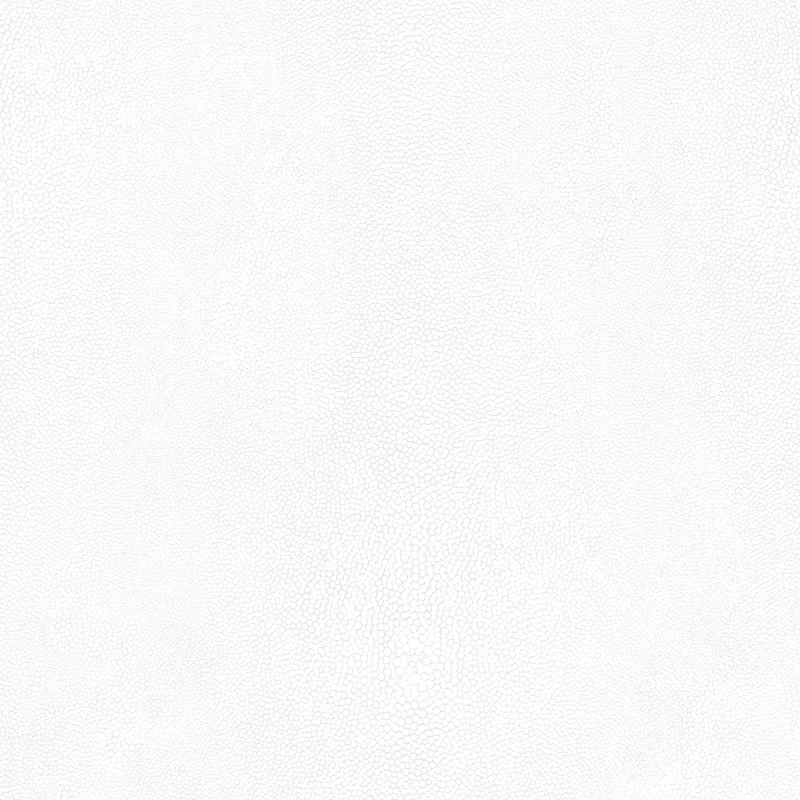  Rouleau de papier peint L 32,7 pi x l 20,5 po, Blanc étincelant