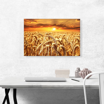 " Wheat Field "