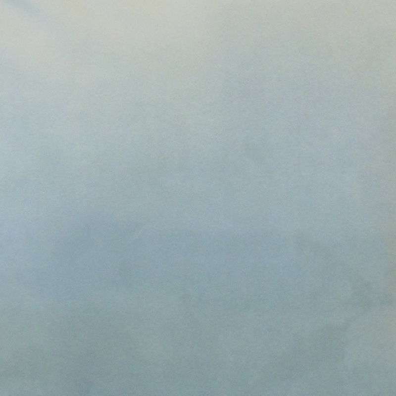 Olive/Oak/Latte/Sky Blue/Steel/Orchid/Pearl/Salsa/Tan/Spa/Turquoise/Coal/Smoke/Sand Silk Piece Sham, Standard, Sky Blue