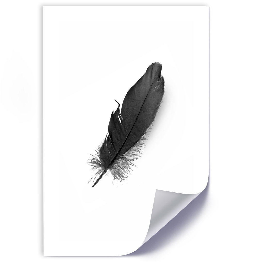 Grafikdruck Black Feather