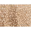 Animal Print Area Rug-64410900
