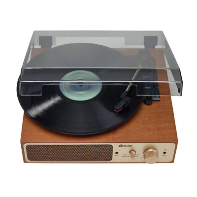 Decorative Record Player with Stereo Speakers