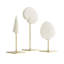 3 Piece Shell Sculpture Set