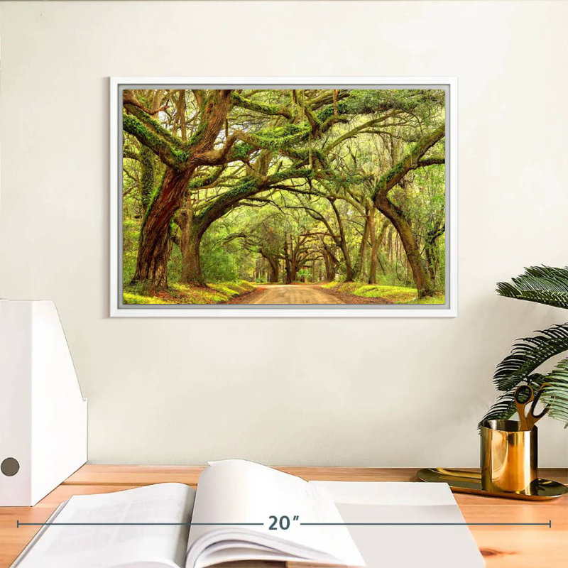 Charleston Oak Forest, Cadre flottant blanc, 13 po x 9 po