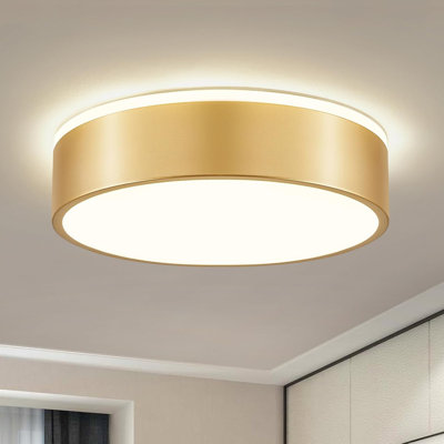 Flat Mounted Ceiling Light