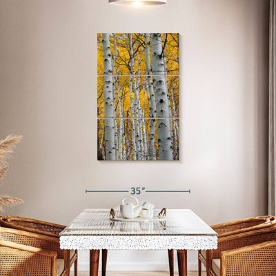 Troncs Alvord Aspen Forest