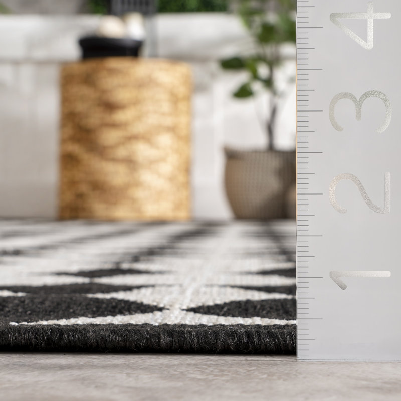 Black and White Checkered Synthetic Indoor Outdoor Rug, 4' x 6'