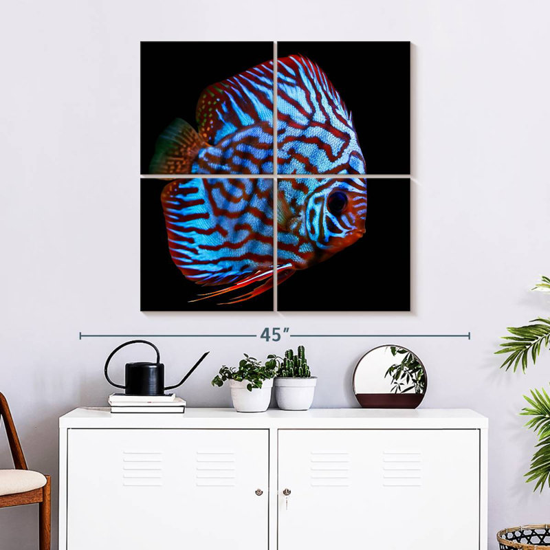Brampt Aquatic Turquoise Discus Fish, 32" H x 32" W