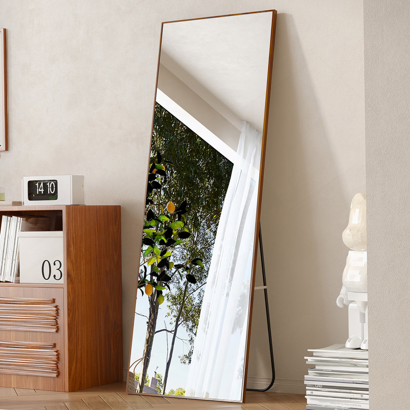 Miroir pleine grandeur propre et magnifique, 65 po x 23 po, Brun