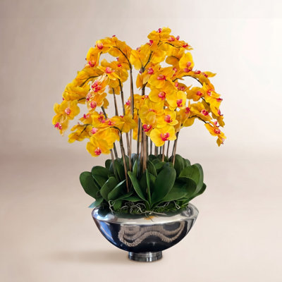 Orchid Floral Arrangement