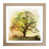 Oak selected